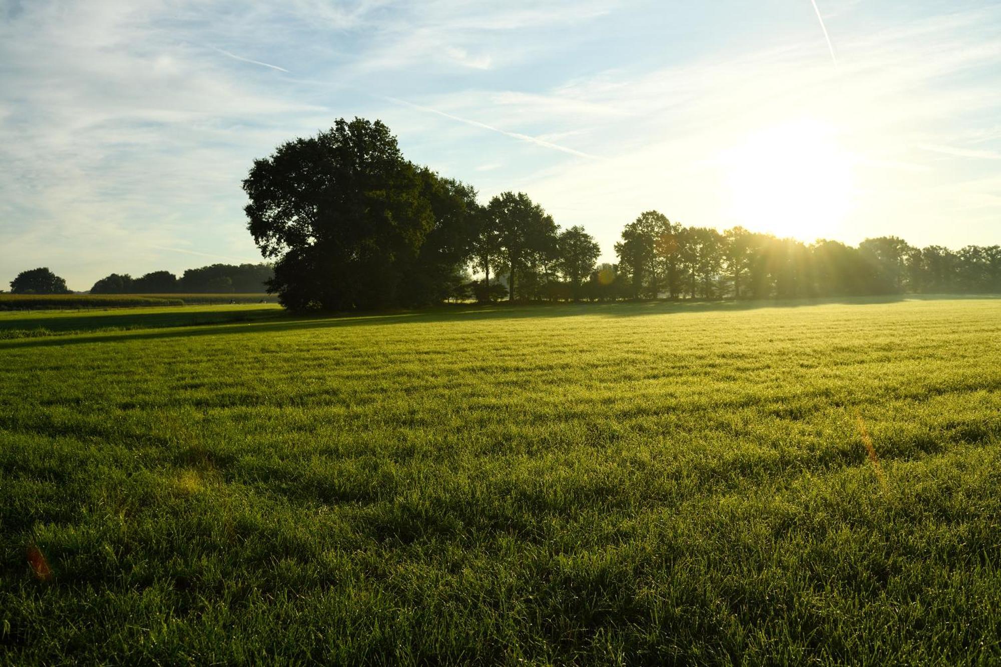 ホテル Landgoed De Holtweijde Lattrop エクステリア 写真